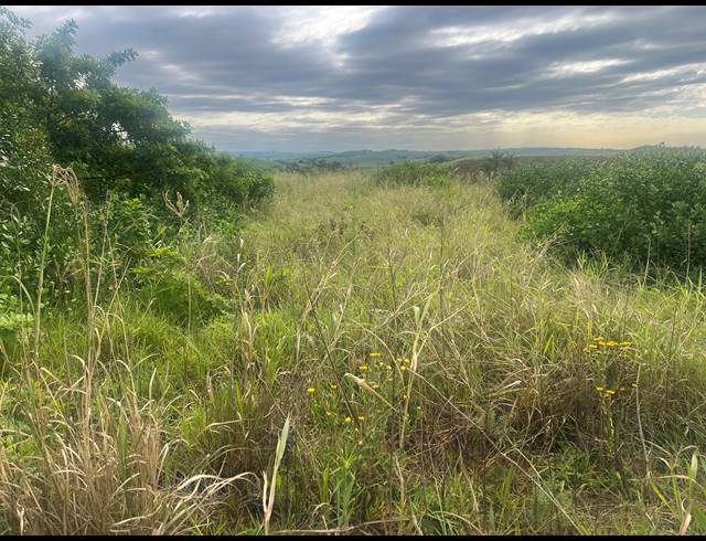 1,686M² VACANT LAND FOR SALE IN SEATON ESTATE